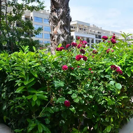 Argisht Holiday 아파트
